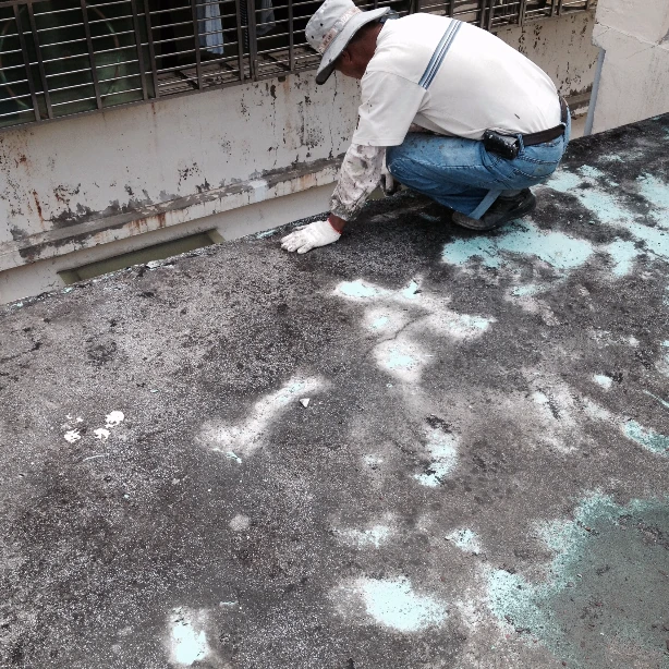 大溪屋頂邊緣地坪整理作業